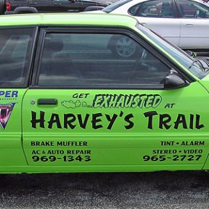 Harveys Trail Mustang