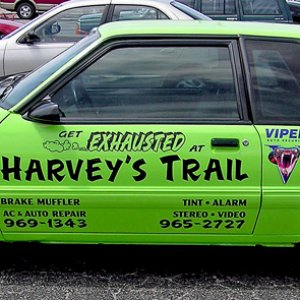Harveys Trail Mustang