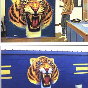 Banner and Wall Tiger