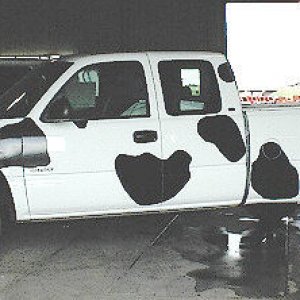 Cow Truck