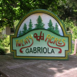 Routed Cedar sign