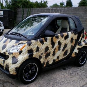Smart Car Wrap. This was pretty simple. The local dealership picked a design from iStockPhoto.com and we printed and applied. They sold the car as a c
