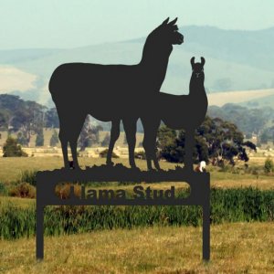 Llama stud sign design.