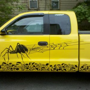 I did the rocker panels NOT the large spider.