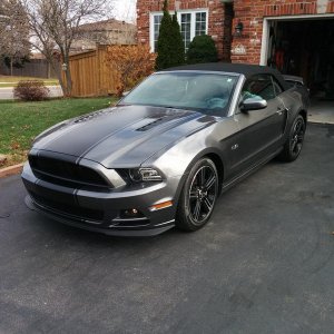 Mustang striping Dec2015