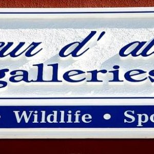 cda galleries
2" HDU sign with Textured background painted with One Shot paints.