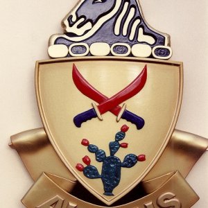 US Army 11th Armored Cavalry "Allons"