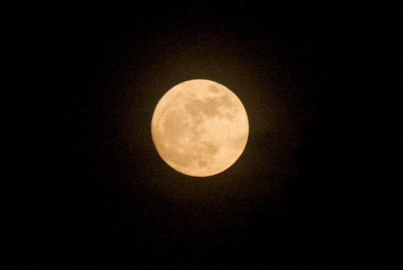 Orange Moon - 6/17/2008