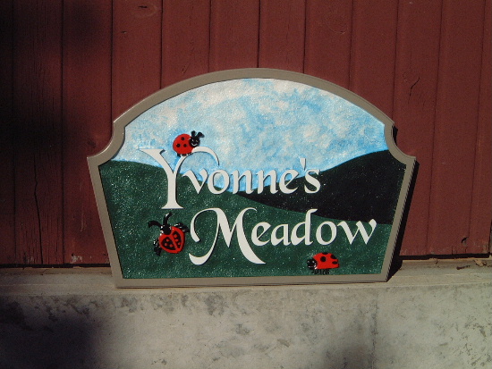 Yvonnes Meadow