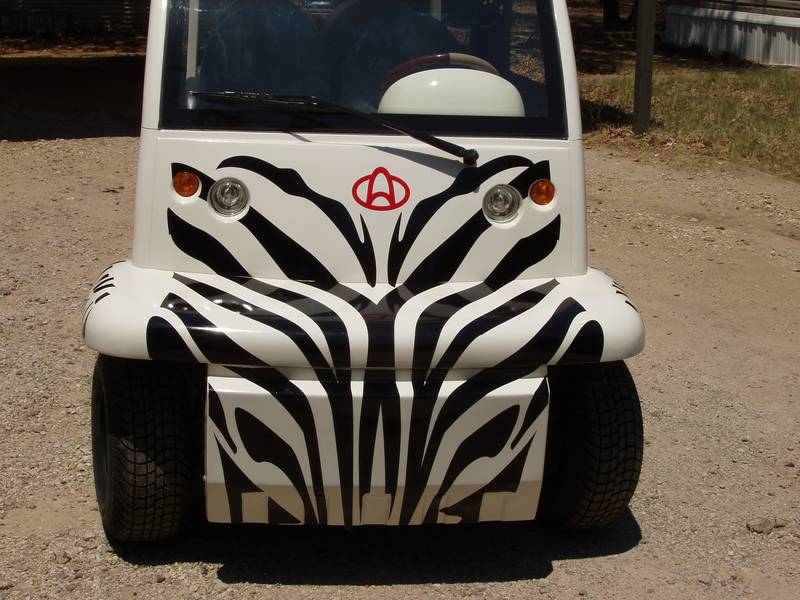 zebra front