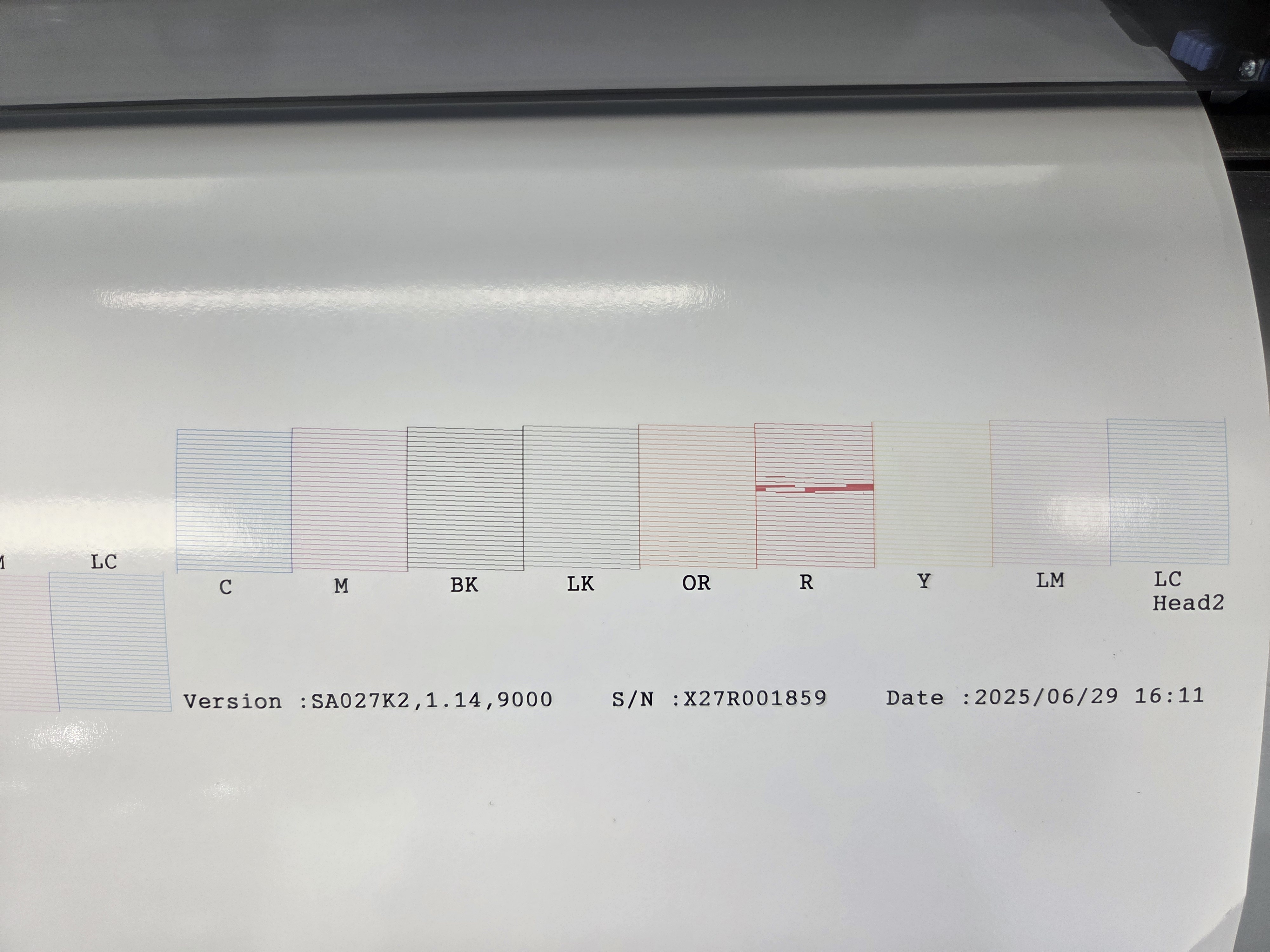 1000001289.jpg
