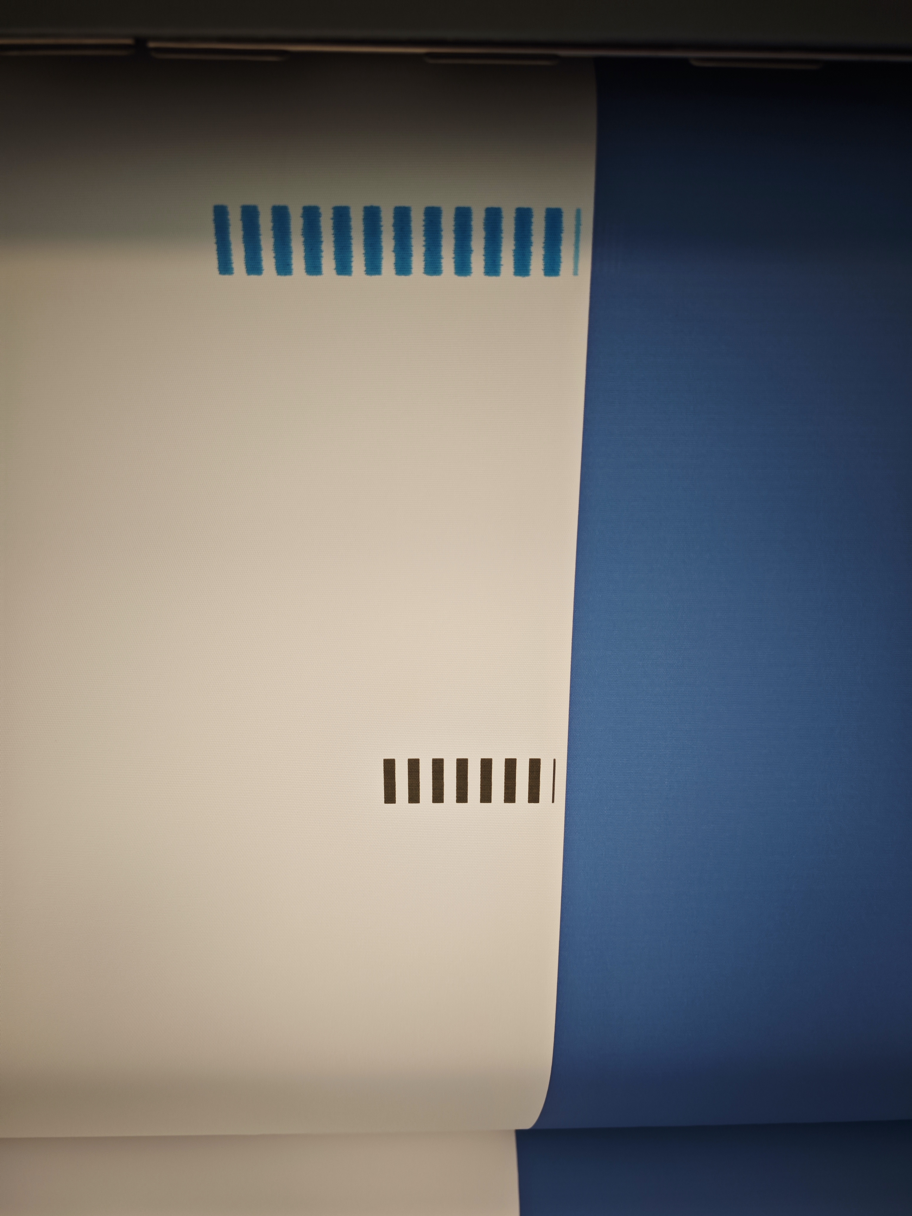 1000268865.jpg