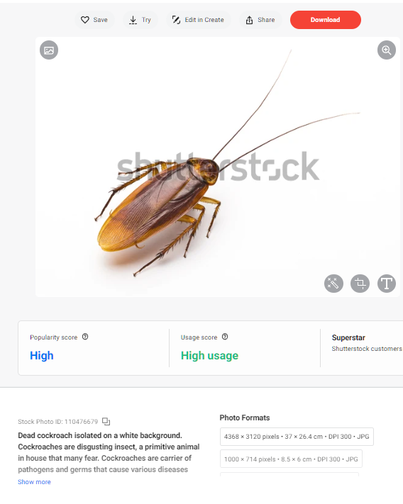 1669816065858.png