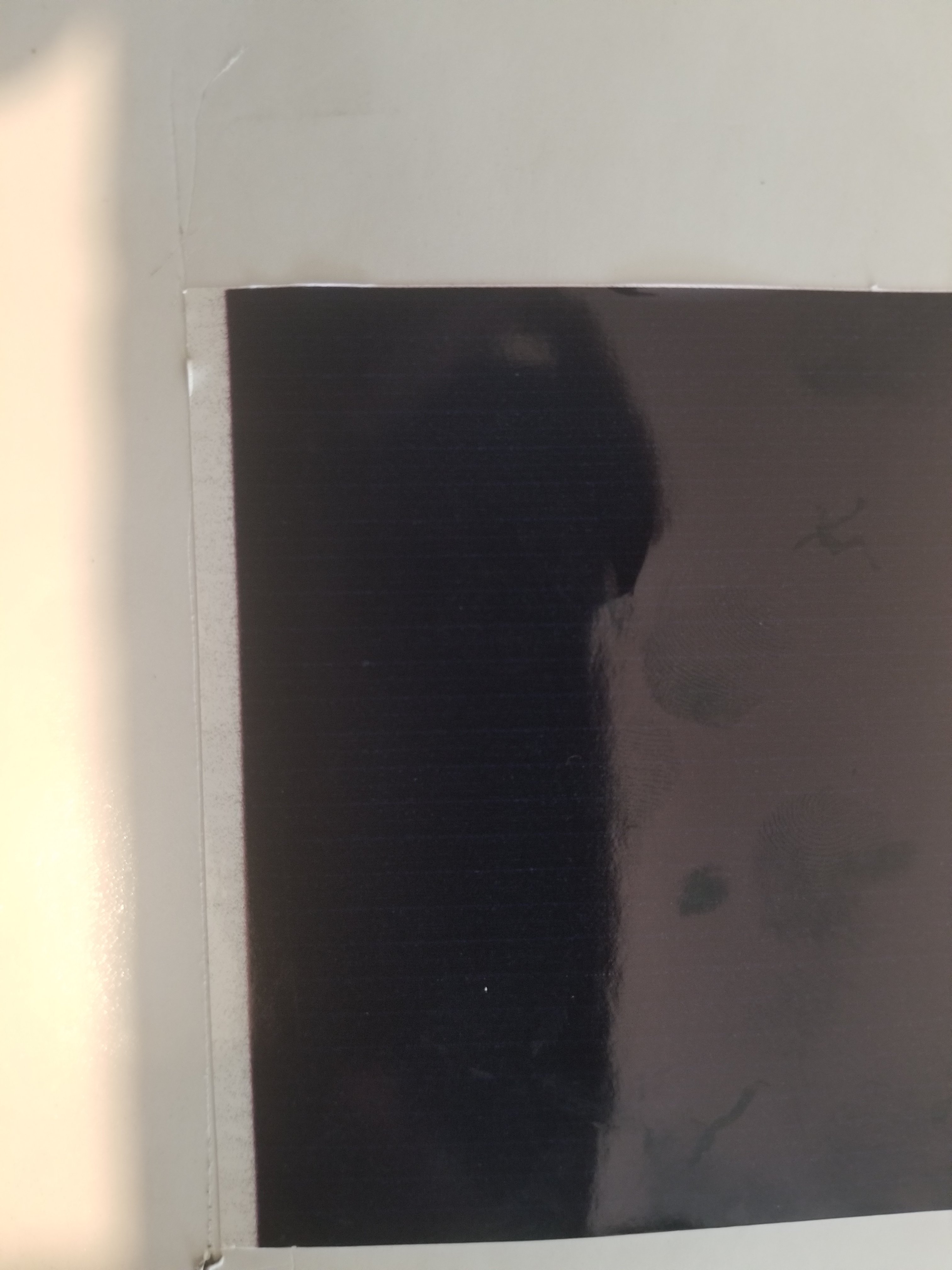20170803_144347.jpg
