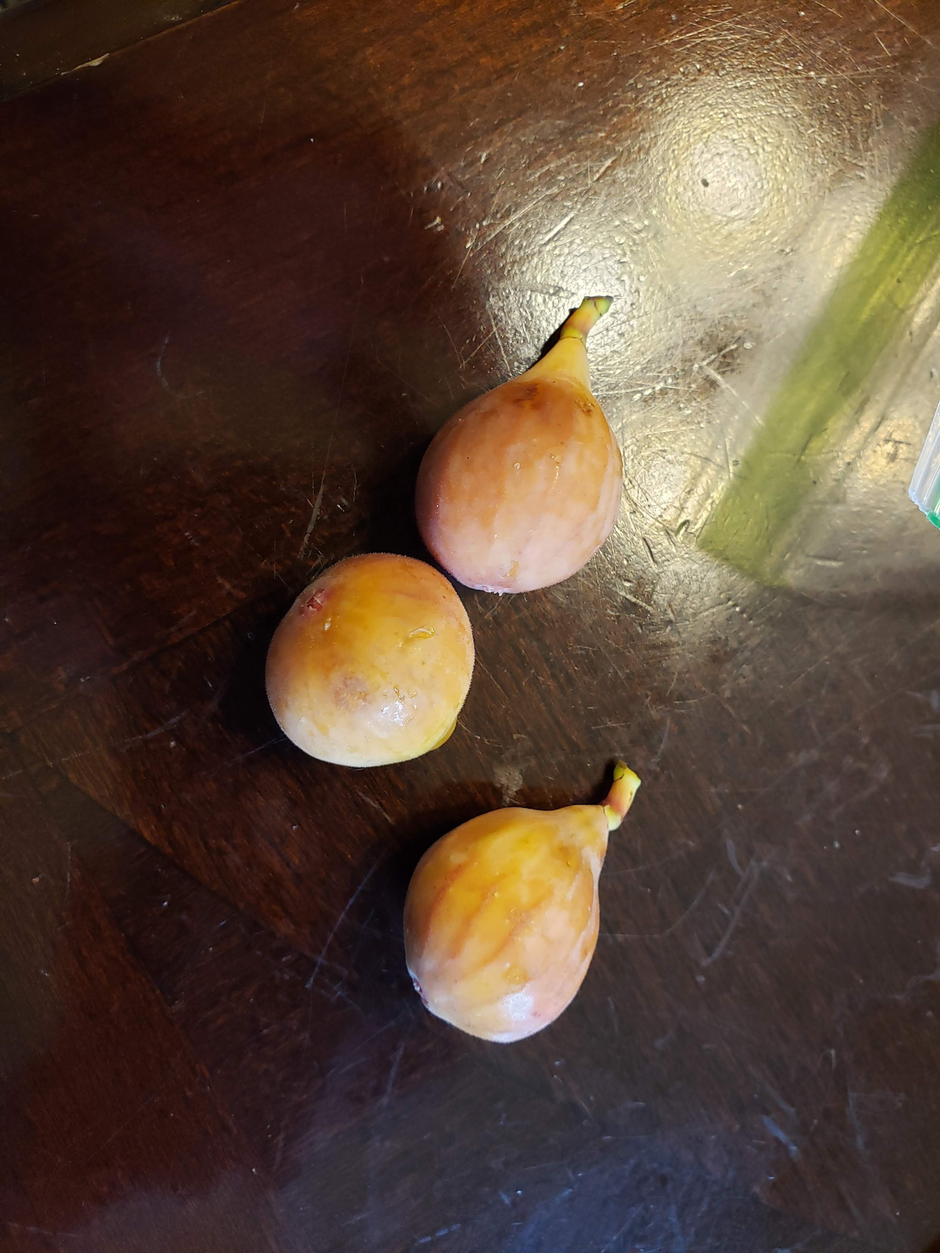20190722_140409.jpg