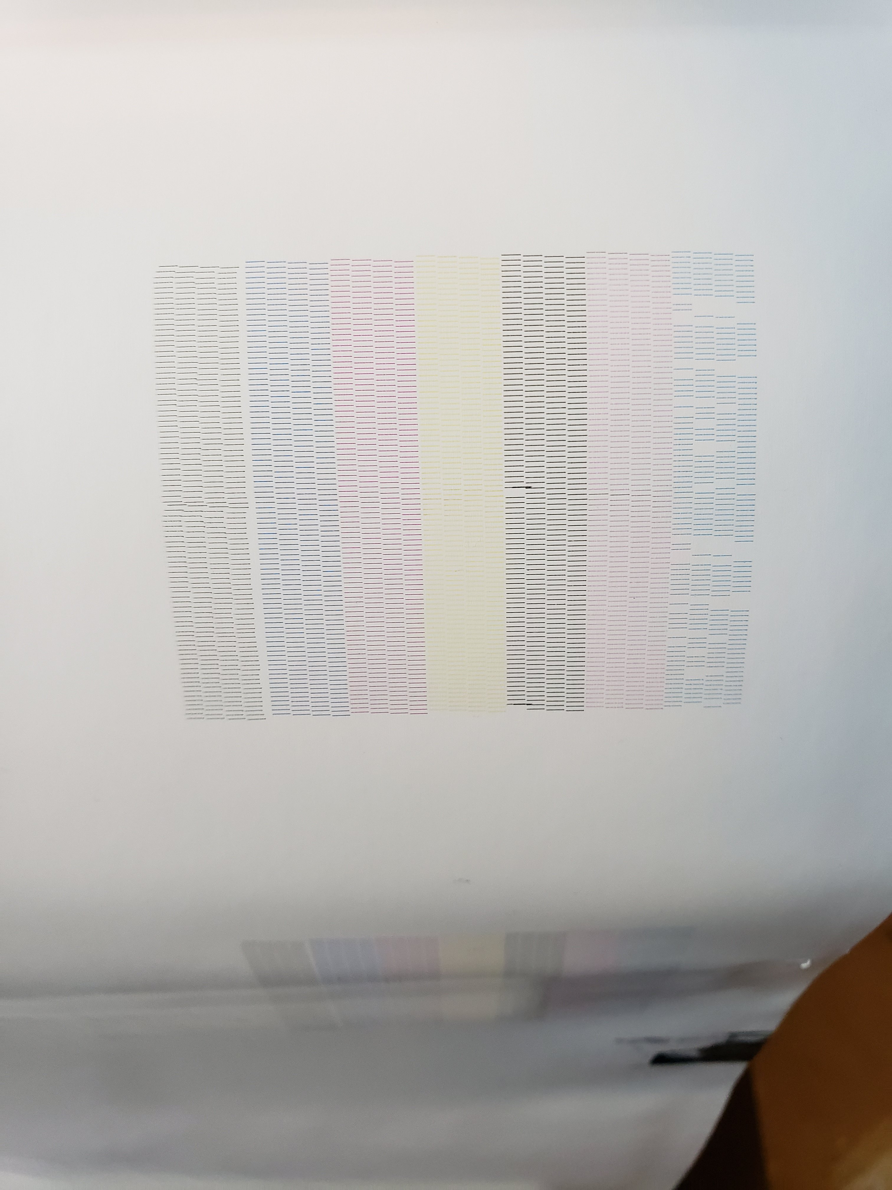 20210312_184431.jpg