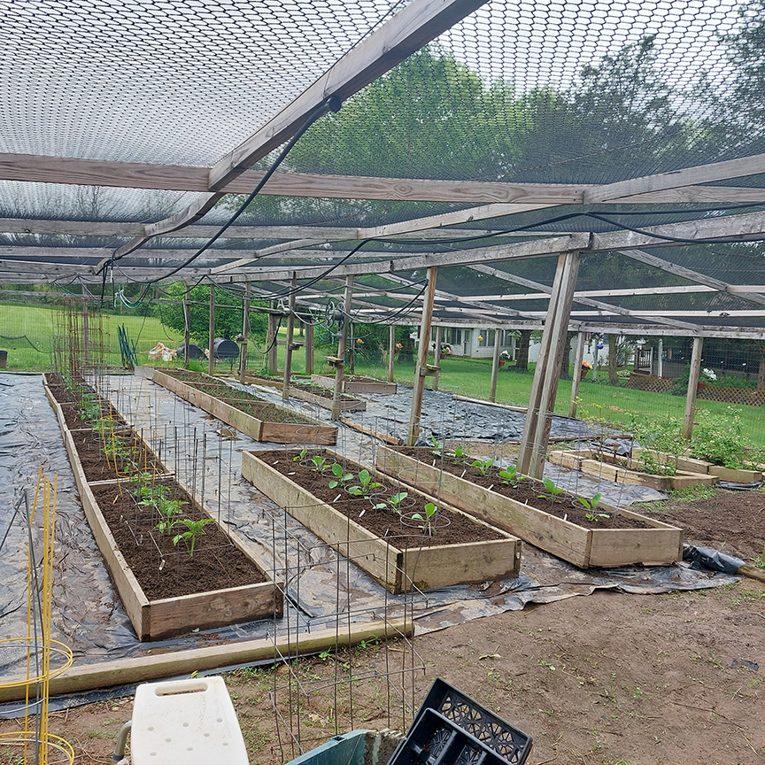 2022 beginning garden.jpg