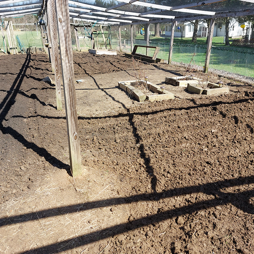 2022 garden midway.jpg