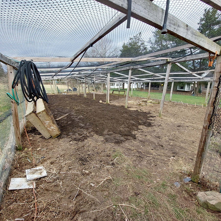 2022 garden start.jpg