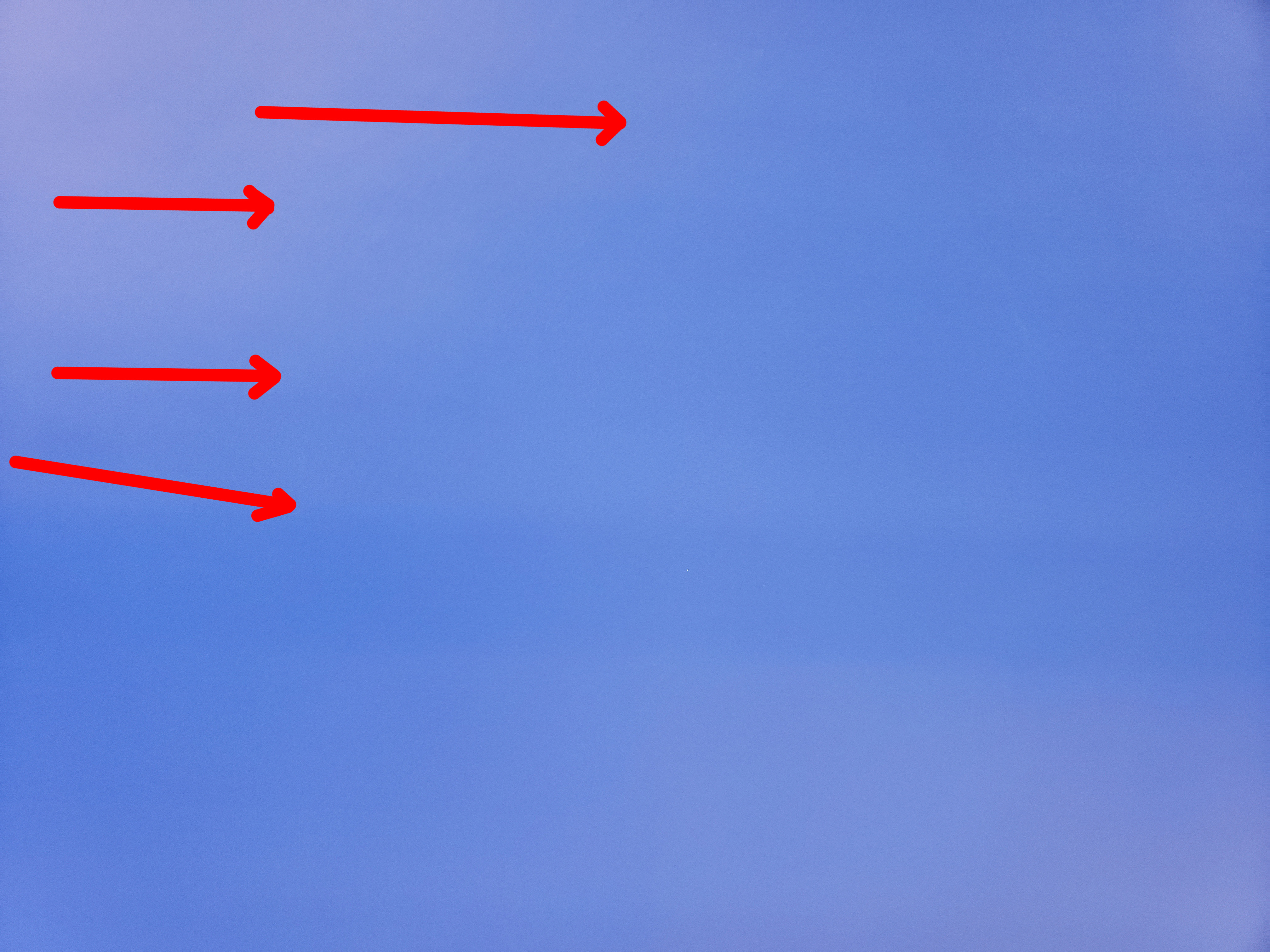 20220120_140004 arrows.jpg