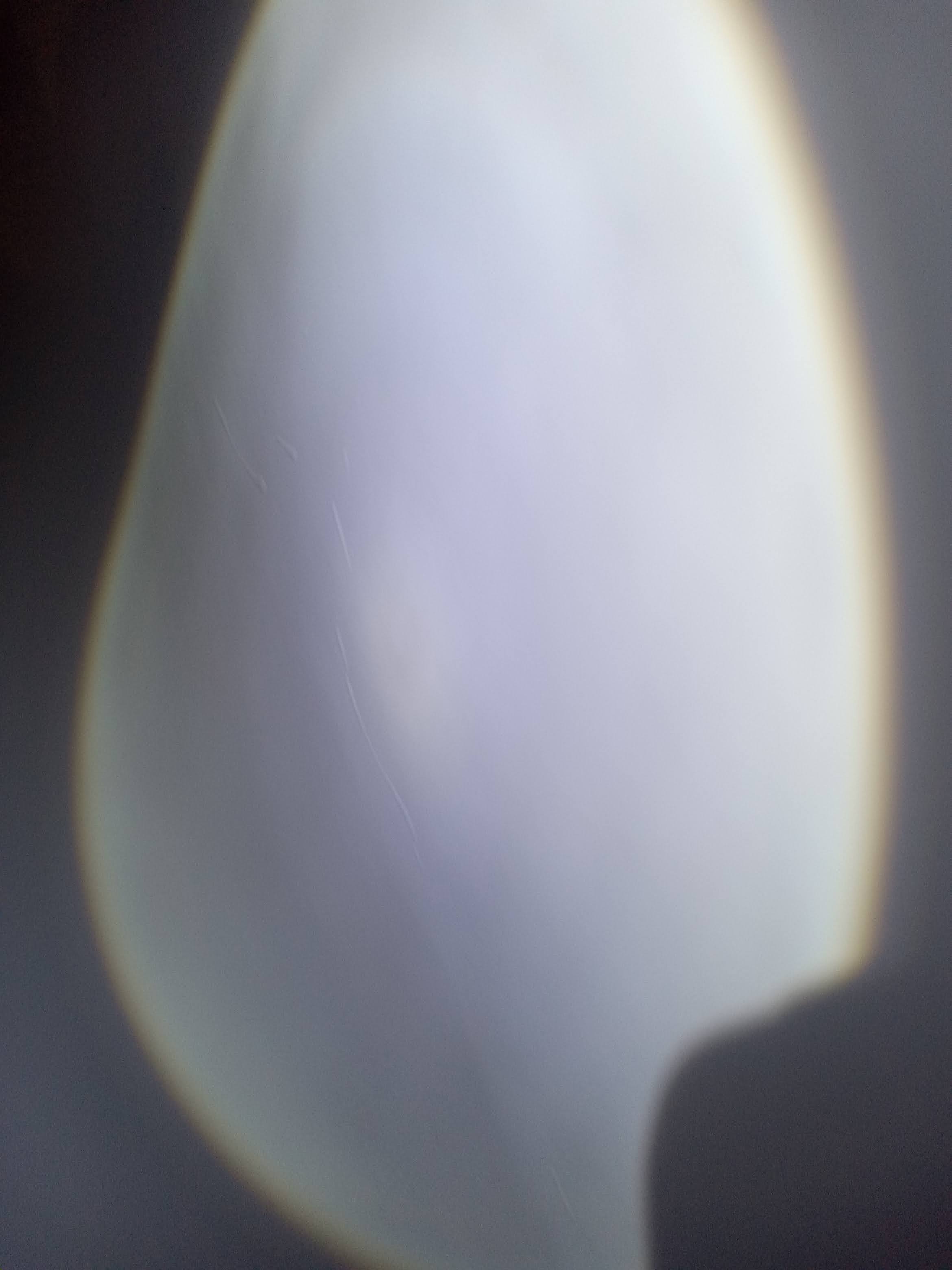 20230110_170423.jpg