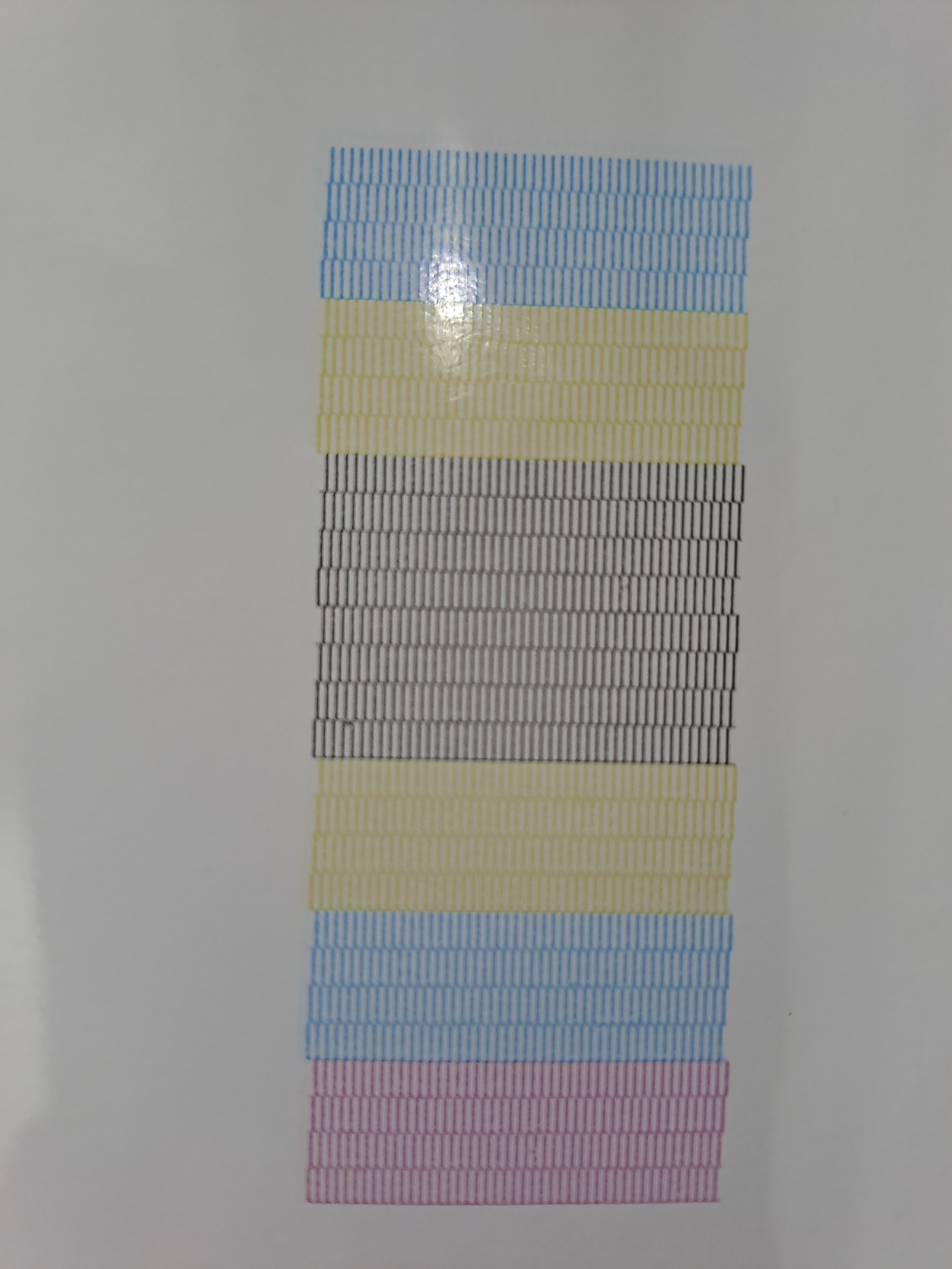 20230202_121329.jpg