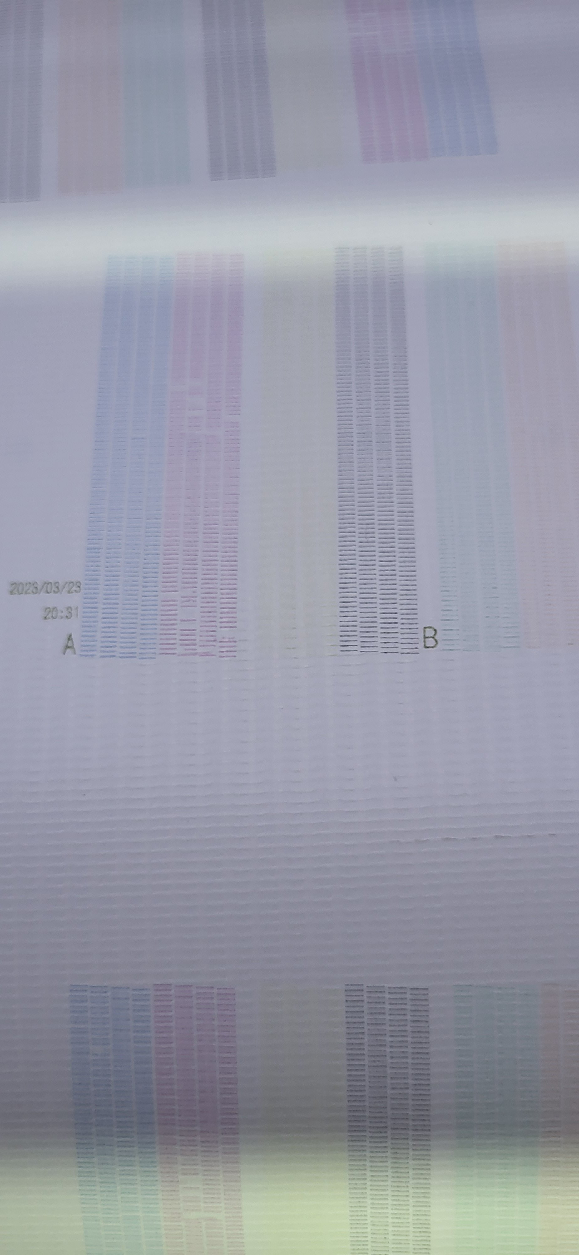 20230323_132510.jpg