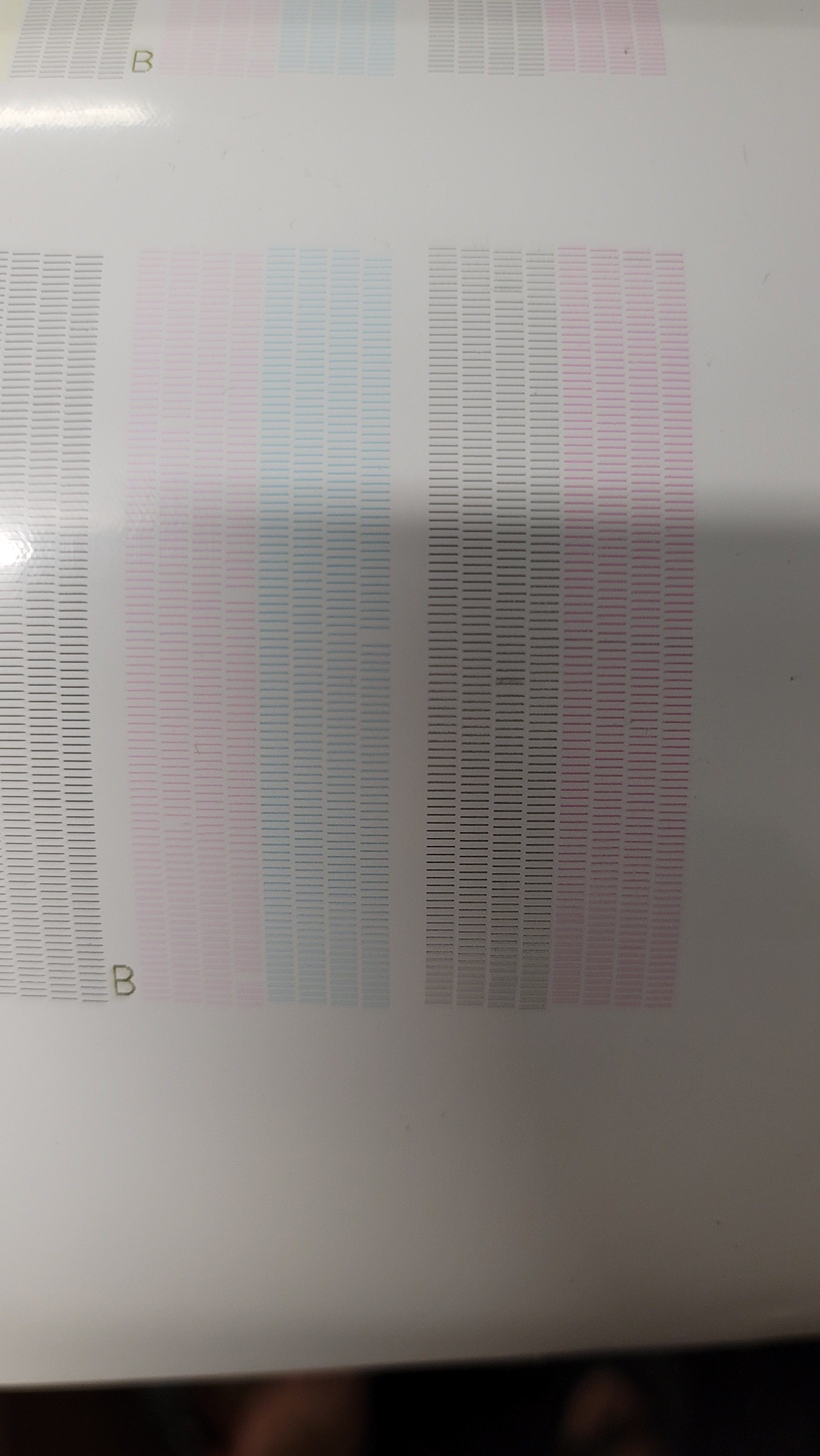20230405_223119.jpg
