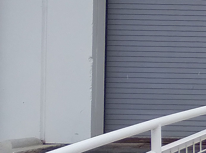 20231026_125107.jpg