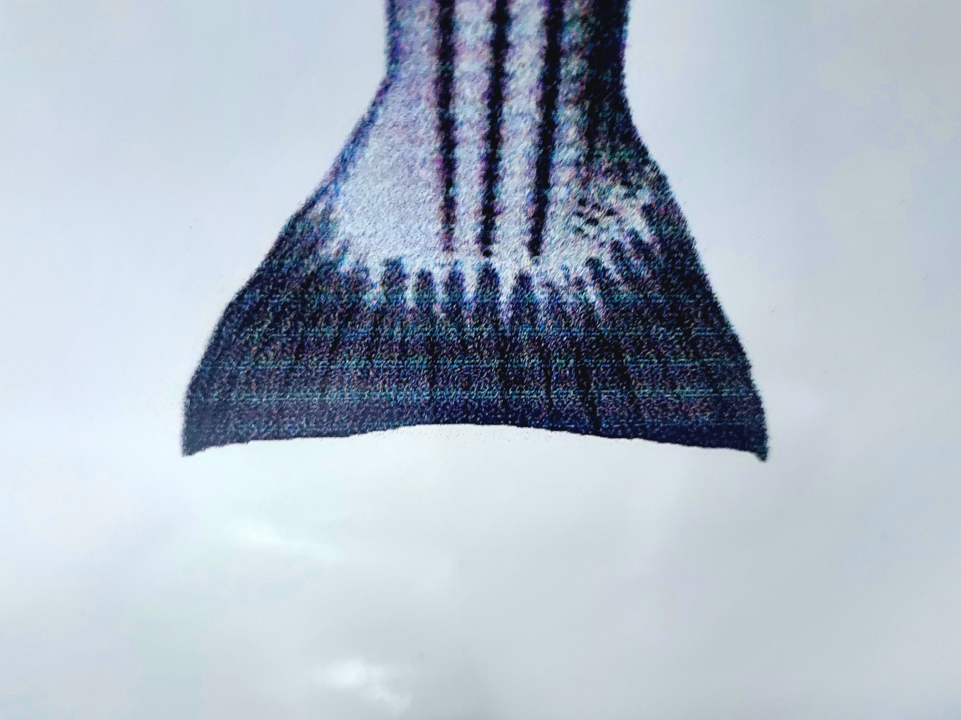 20231212_174950.jpg