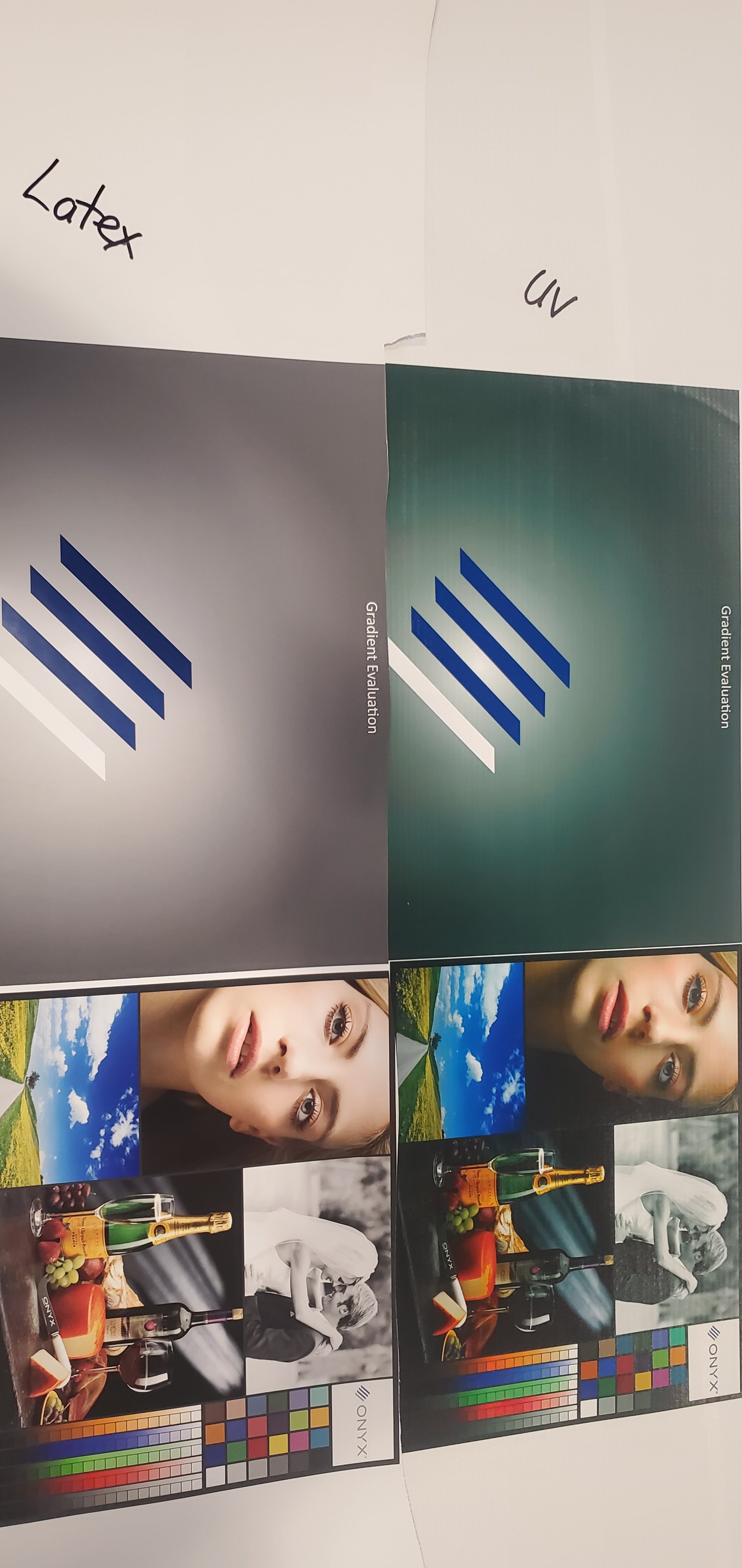 20250417_121421.jpg