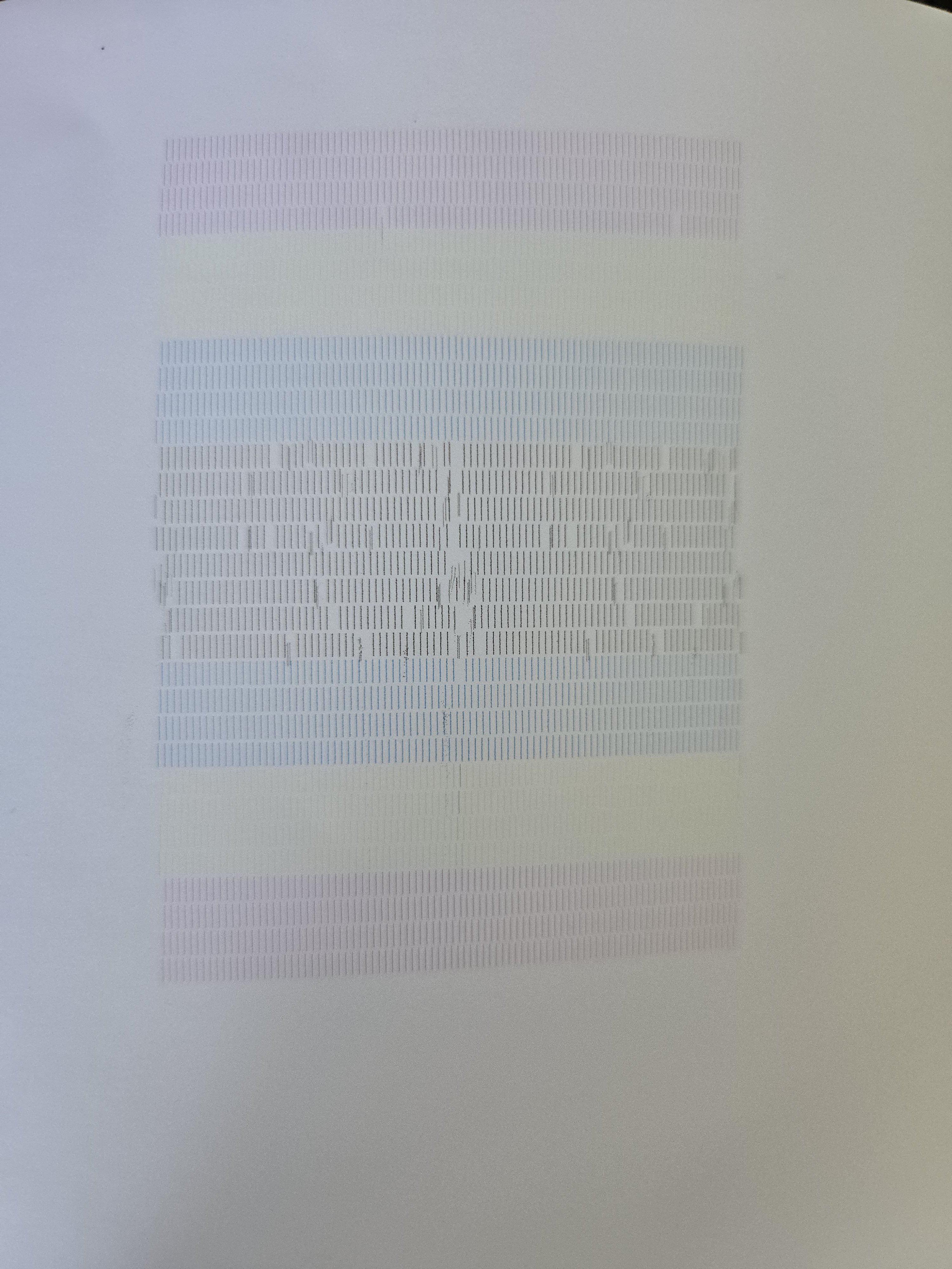 20250611_143306.jpg