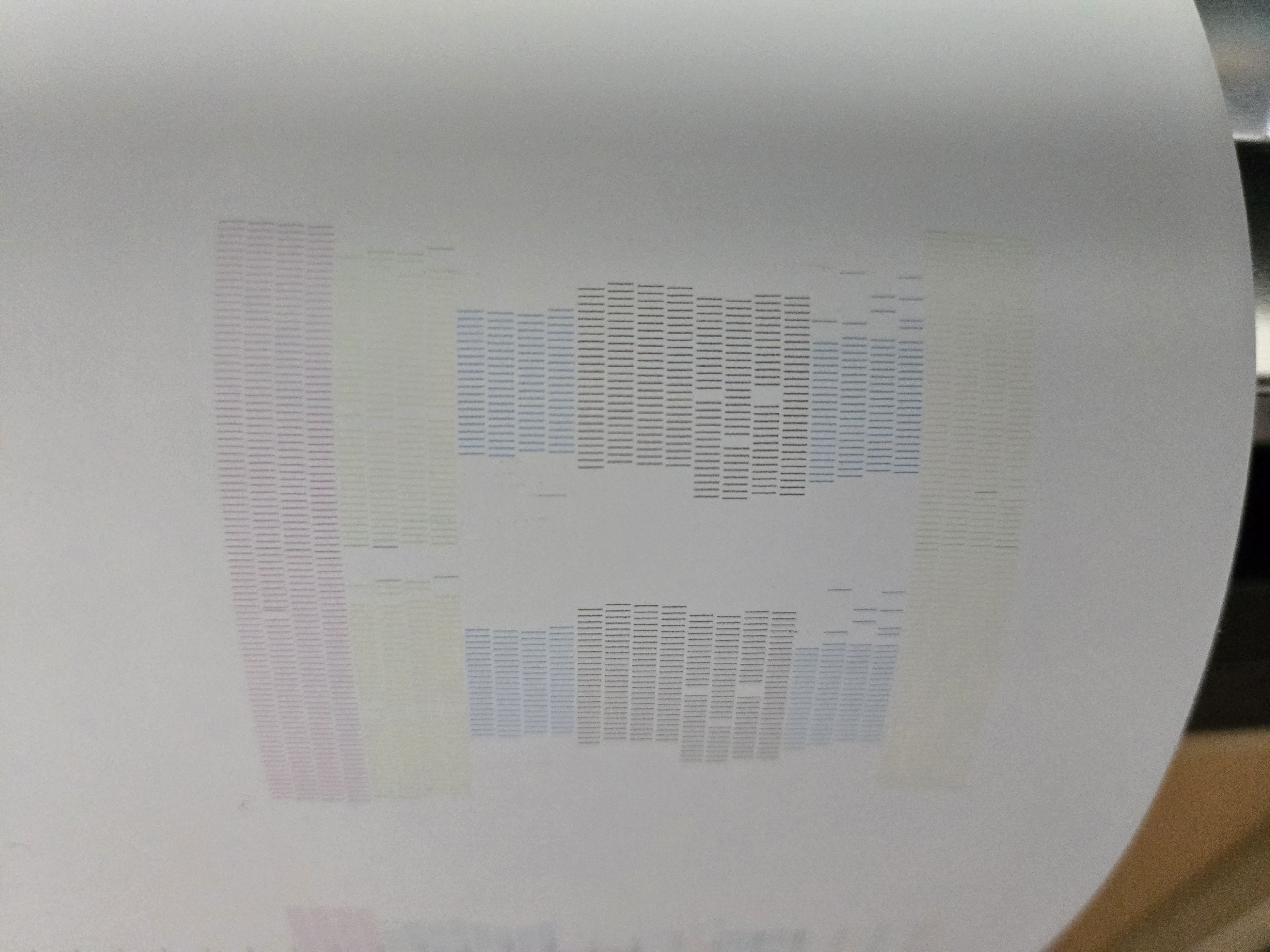 20250616_122812.jpg