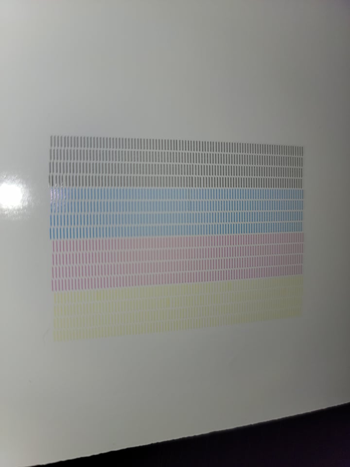 203715469_4103300416412905_2962922621682991331_n.jpg