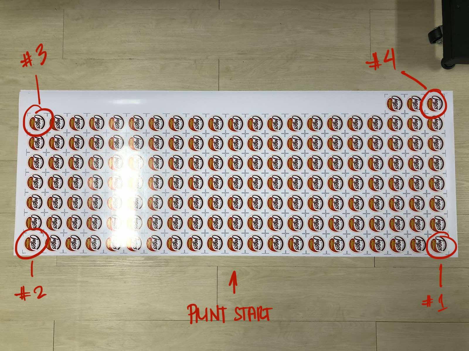 216481325_348463966669762_8084743764652114127_n.jpg