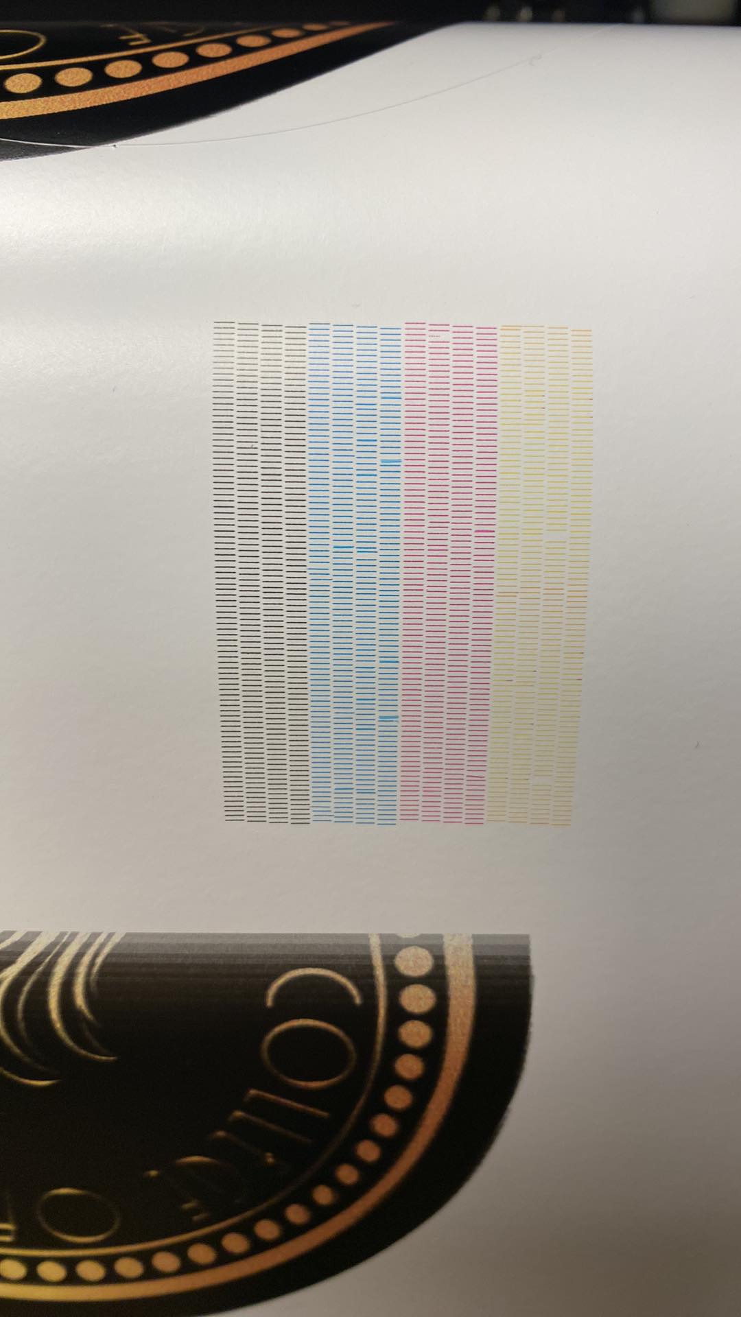 242396168_574404400543542_4920162717657701255_n.jpg