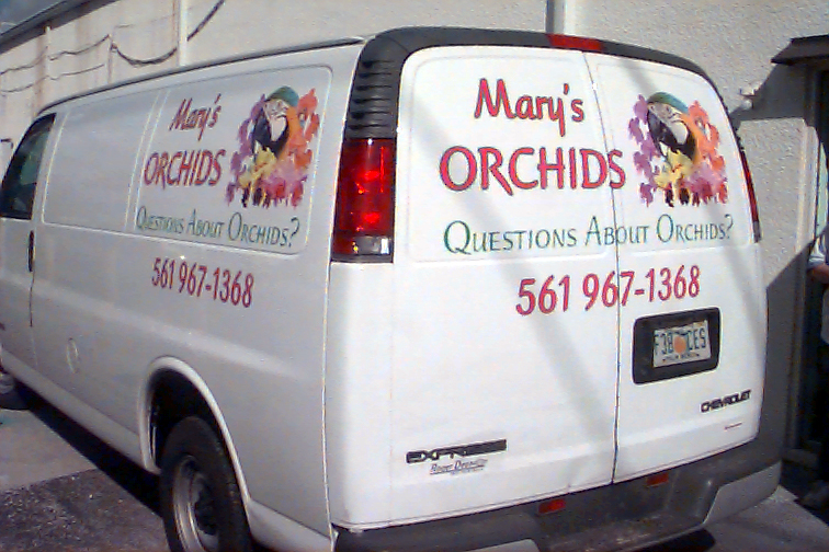 394Marys_Orchids_12.jpg