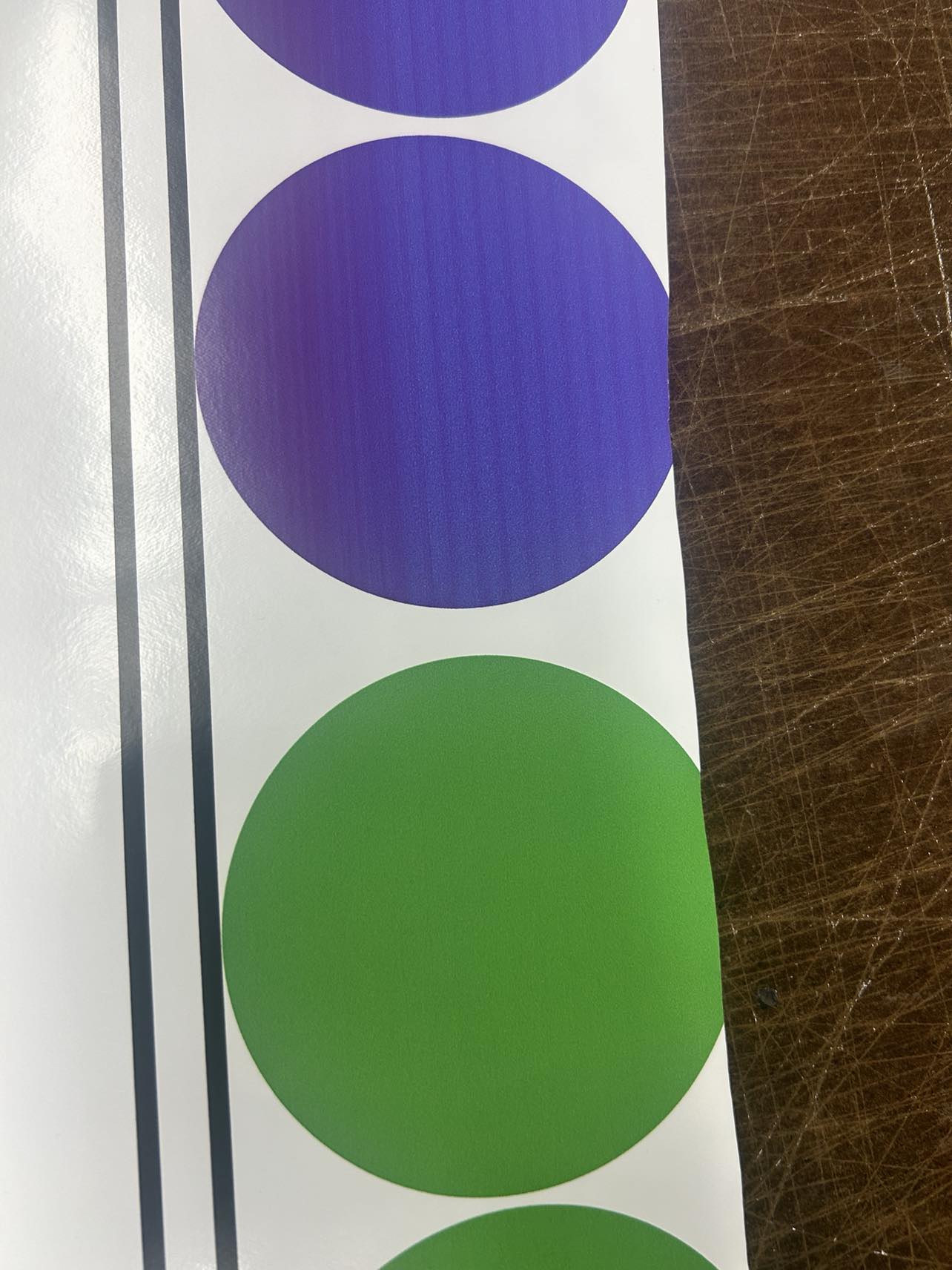 421036185_917127209982369_240683974211318410_n.jpg