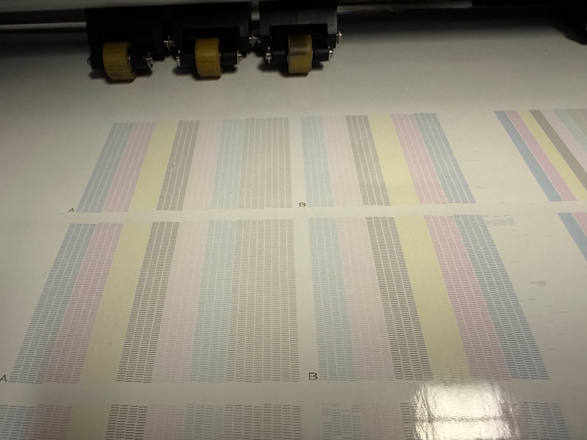520401313_1834428317115564_3552229285006325968_n.jpg