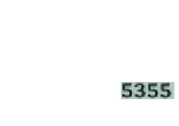 5355.jpg