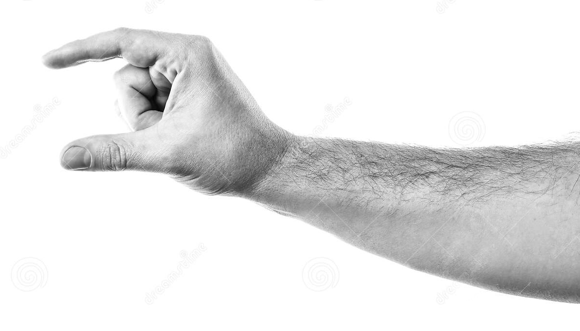 6 inches.jpg