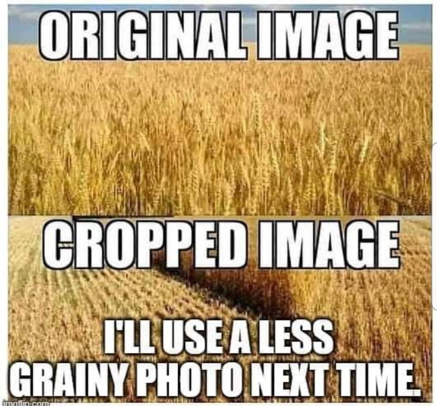 708CE726-6B6D-4DFD-B9F9-C989FF9661F9.jpeg