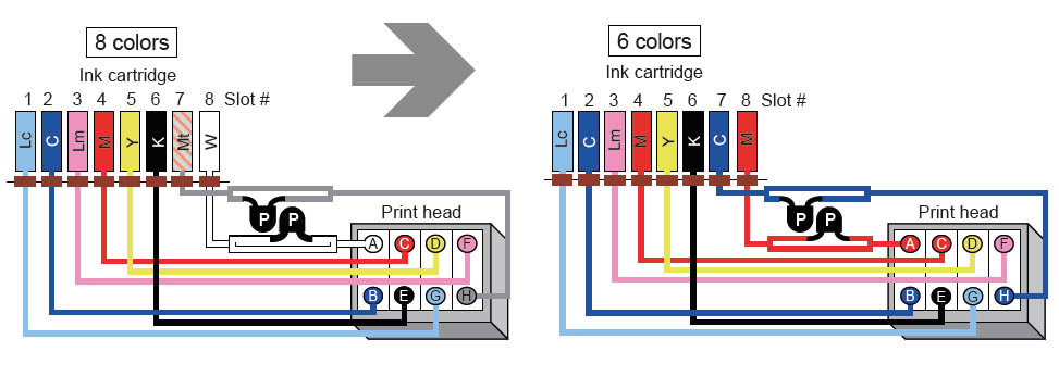 8 to 6 colors.jpg