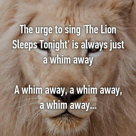 a whim.jpg