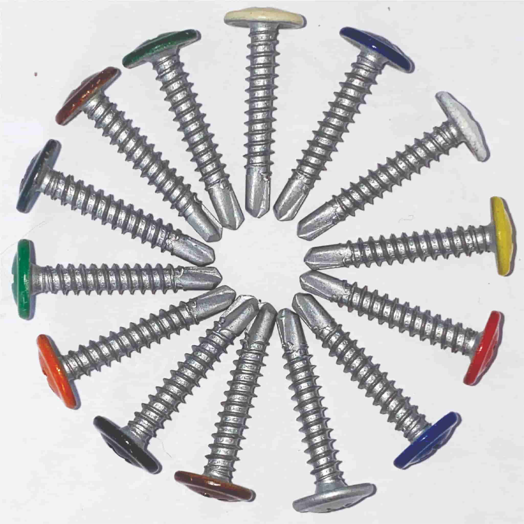 All RAL Coloured Screws.jpg