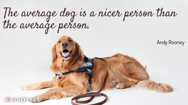 average-dog.jpg
