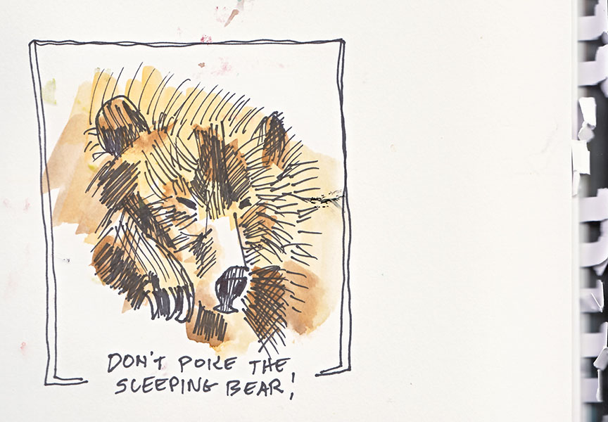bear.jpg