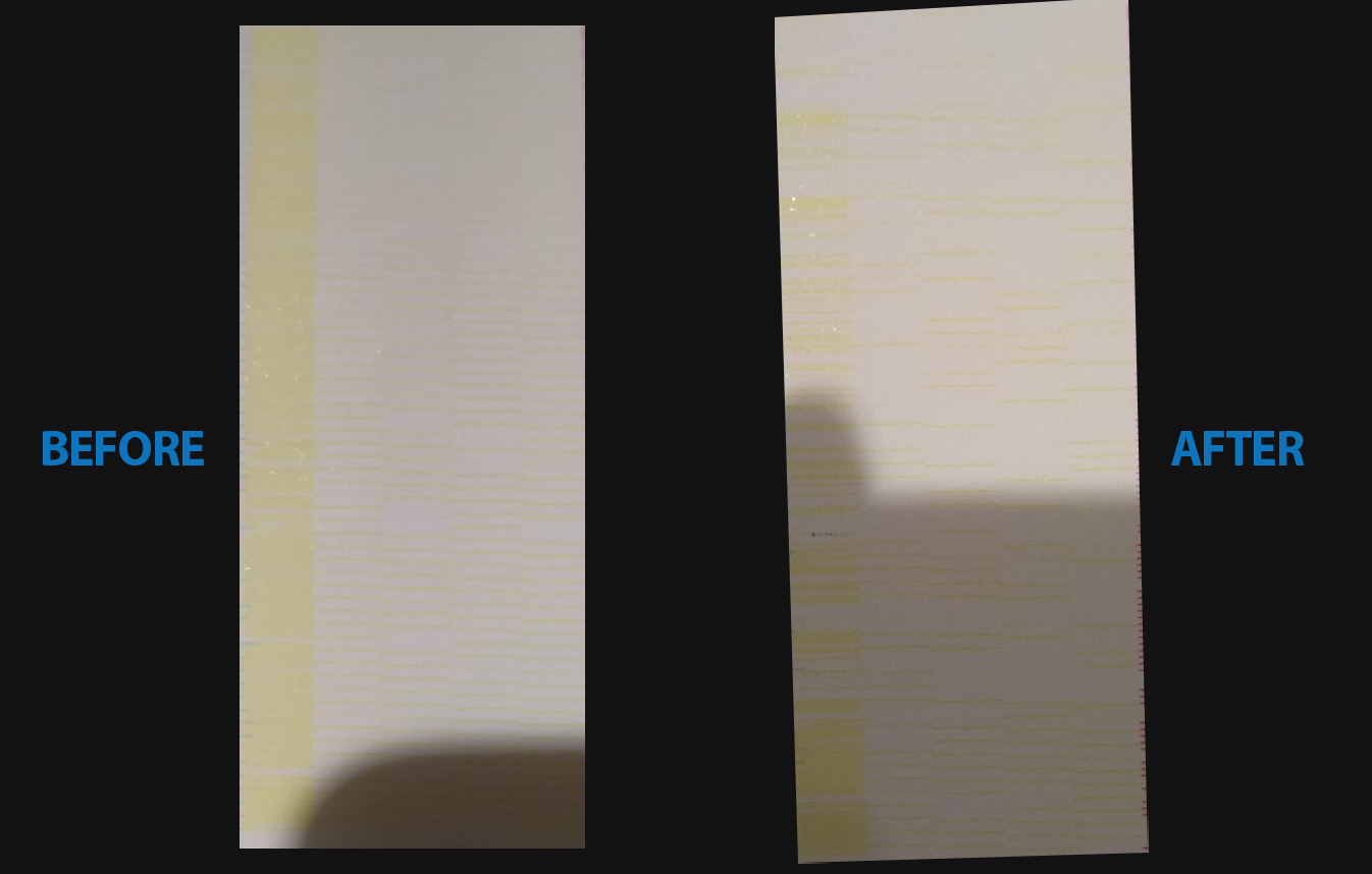 beforeafter.jpg