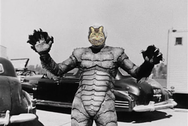 bigcat lagoon.jpg