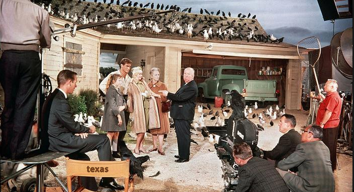 birds.jpg